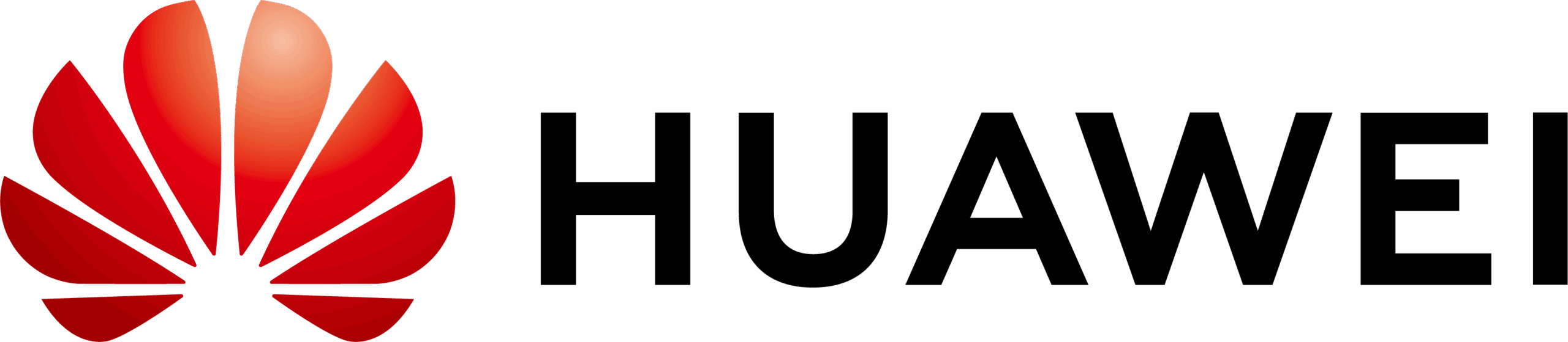 iduNF5NSsw_1749817017577